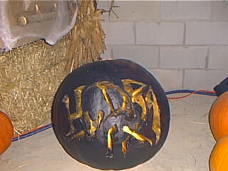 hfxpumpkin.jpg